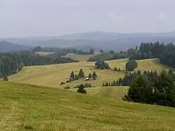 Veporské vrchy, pohled z vrcholu Zakľuky (1012 m) na východ
