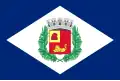 Rio Claro – vlajka
