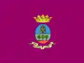 Villarrobledo – vlajka