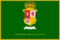 León – vlajka