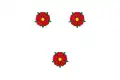Roses – vlajka