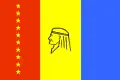 Maturín – vlajka