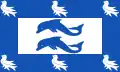 Brighton and Hove – vlajka