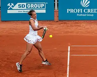 Barbora Strýcová