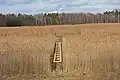 Nový vstup do rákosového porostu