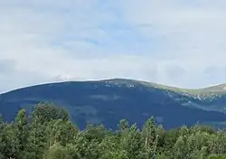 Bartková
