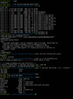 Screenshot Bashe na OS Gentoo Linux