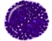Bazofil