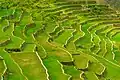 terasy Batad