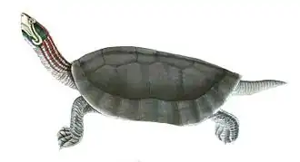 alternativní popis obrázku chybí