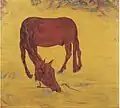 Kůň (1917)