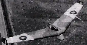 Baynes Bat v letu