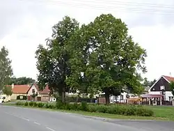 Náves
