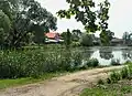 Rybník