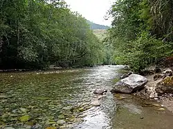 Řeka nedaleko města Skykomish.