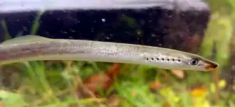 alternativní popis obrázku chybí