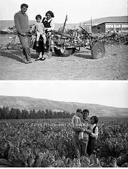 Beit Zera, 1933
