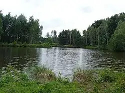 Bělečský písník