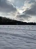 Pohled na Bělský les v zimě