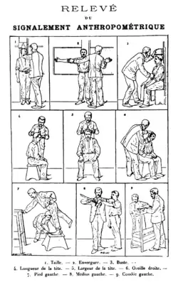 Frontispis z Bertillonovy Identification anthropométrique (1893), demonstrující měření potřebná pro jeho anthropometrický identifikační systém