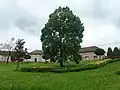Střed obce