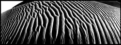 Sahara 2007