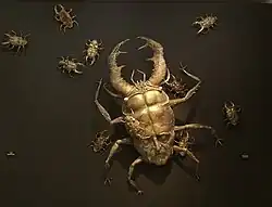 Big Mother (the Gold Bug), 2020