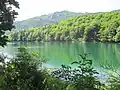 Biogradské jezero