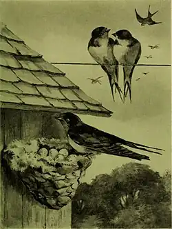 1903