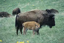 alternativní popis obrázku chybí