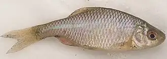 alternativní popis obrázku chybí