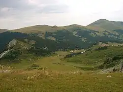 Bjelasica