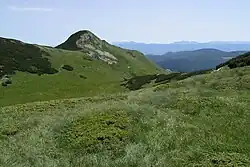 Crna glava