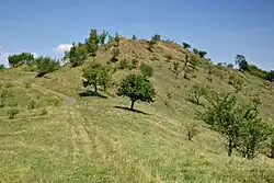 Celkový pohled z Malého chlumu