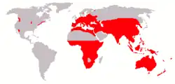 Rozšíření krysy ve světě Toto je jedna z variant mapy. Jiné údaje udávají souvislejší rozšíření v Severní Americe, pouze ostrůvkovité rozšíření v Africe a Austrálii a přidávají i ostrůvkovité rozšíření v Jižní Americe.
