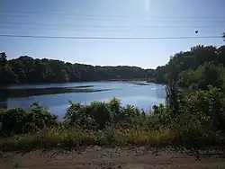 Pohled na rybník