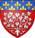 Amiens – znak