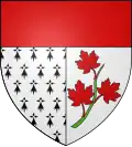 Vimy – znak