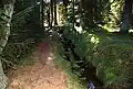 Poblíž nástupu z božídarské strany