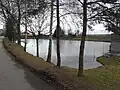 Bezejmenný rybníček v obci