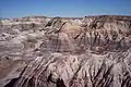 Národní park Petrified Forest