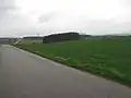 Les od východu