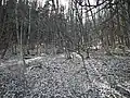 Pohled do svahu