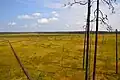 Bažina v Pečoro-Ilyčské přírodní rezervaci