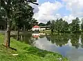 Pilský rybník