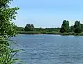 Bohdanečský rybník