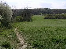 Jižní okraj ostrožny