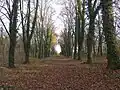 Pohled směrem k hlavní bráně