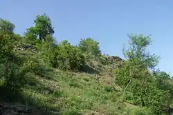 Stráň se skalními společenstvy