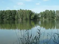 Bohumilečský rybník: celkový pohled